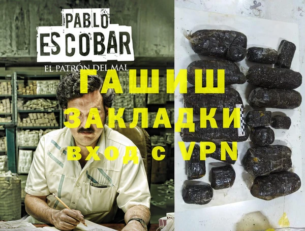 прущие грибы Верея